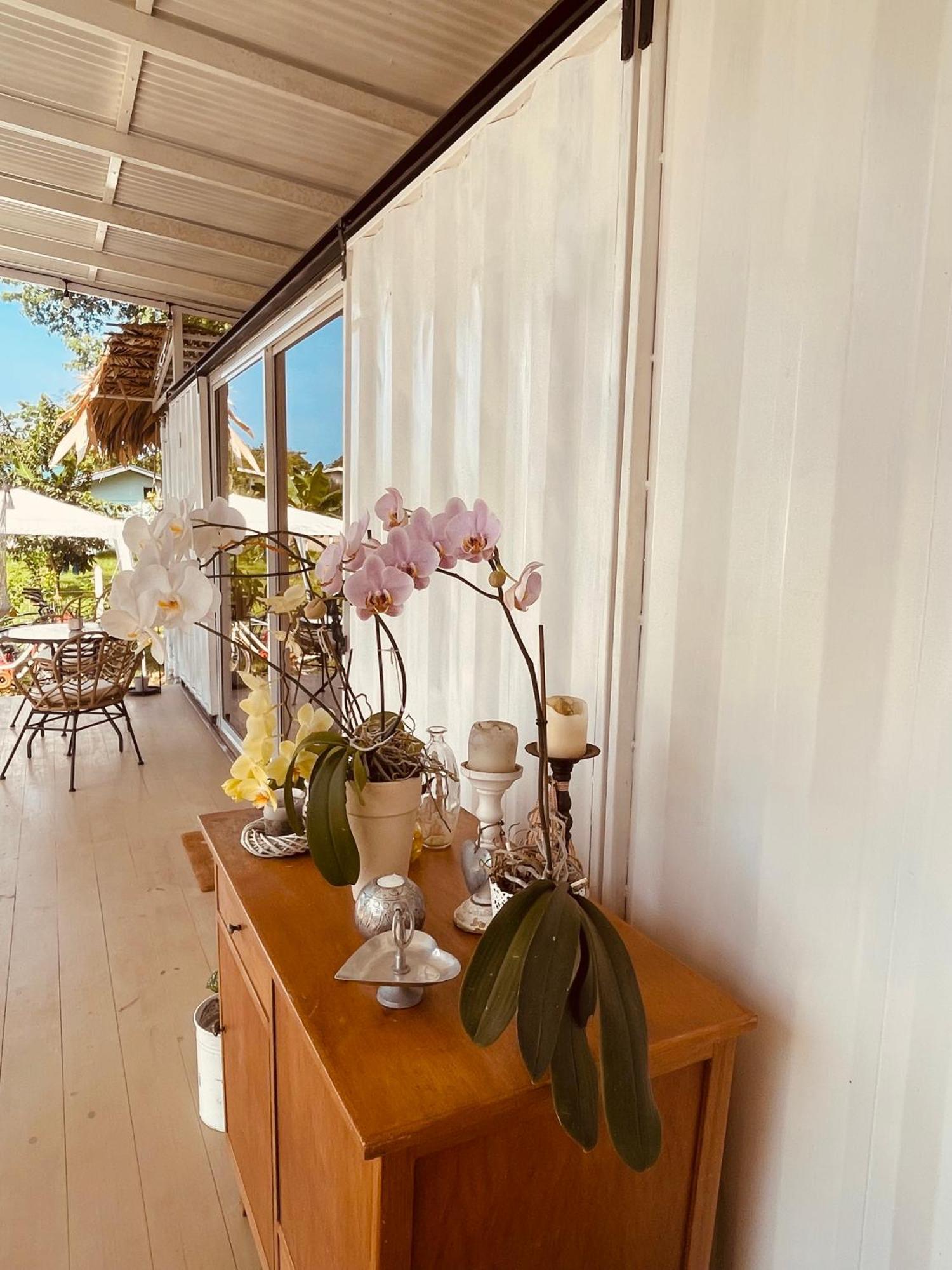 Casa Luce Panzió Puerto Viejo de Talamanca Kültér fotó