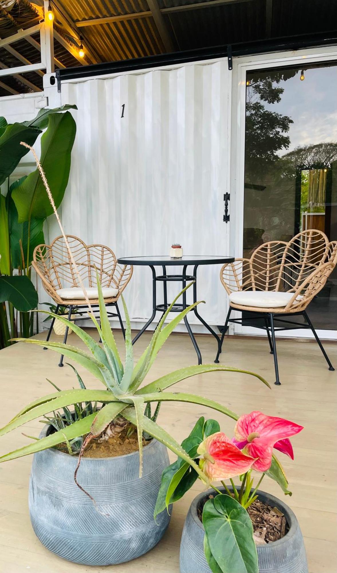 Casa Luce Panzió Puerto Viejo de Talamanca Kültér fotó