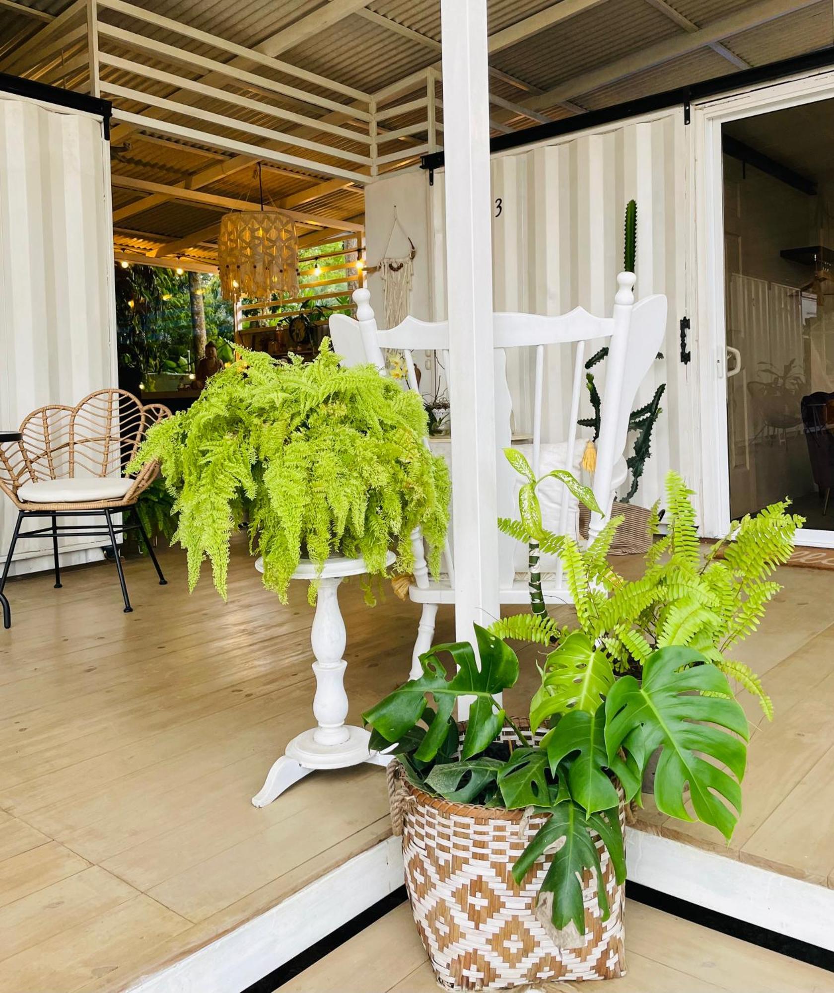 Casa Luce Panzió Puerto Viejo de Talamanca Kültér fotó